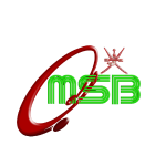 MSB